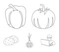 Yellow pumpkin, sweet red pepper, onion bitter, potatoes. Vegetables set collection icons in outline style vector symbol