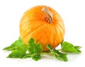 Yellow pumpkin vegetable with green leaves Royalty Free Stock Photo