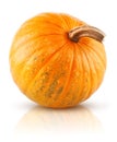 Yellow pumpkin vegetable isolated on white Royalty Free Stock Photo