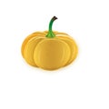 Yellow pumpkin on a white background