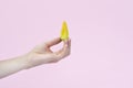 Yellow pumpkin or zucchini flowers in female hand isolated on pink background Royalty Free Stock Photo