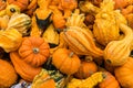 Yellow Pumpkins