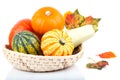 Yellow pumpkins vegetables in basket