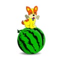 Yellow puppy on top of watermelon, cartoon on white background.