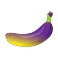 Yellow purple banana gradient in cartoon style, tropical fruit, vector illustration. Royalty Free Stock Photo