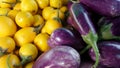 Yellow and purple Eggplant