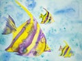 Yellow and purple fantasy fish.