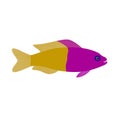Yellow purple fish aquarium exotic fish tropical