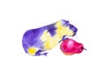 Yellow purple Guinea pig stands with its front paws on a red pear. Abstract comic watercolor illustration. Isolated on white Royalty Free Stock Photo