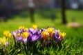 Spring in Munich II Royalty Free Stock Photo