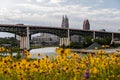 Wildflowers Buffering Scenic View of Cleveland, Ohio Skyline & Historic Bridge Royalty Free Stock Photo