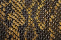 Yellow python leather, for background Royalty Free Stock Photo