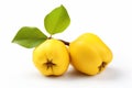 Yellow quince fruit with yellow flower isolated on a white background Royalty Free Stock Photo