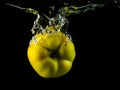 Yellow Quince spash in water on black Royalty Free Stock Photo