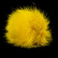 Yellow rabbit fur pompom on black background Royalty Free Stock Photo