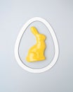 Yellow rabbit in white frame on a gray background. Easter story