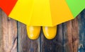 Yellow rain boots under the rainbow umbrella