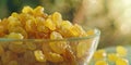 Yellow Raisin Bowl Royalty Free Stock Photo