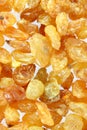 Yellow raisins (sultana) Royalty Free Stock Photo