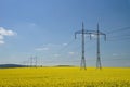 Yellow Field And High-voltage Power Lines