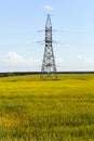 Yellow field Royalty Free Stock Photo