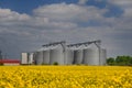 Yellow seed field with silos Royalty Free Stock Photo