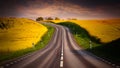 Yellow rapeseed field and a emty road Royalty Free Stock Photo