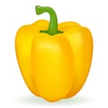 Yellow realistic pepper isolated on white background. Vegetable, healthy fresh food. Vector 3d paprika