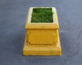Yellow rectangular concrete flower bed with green grass
