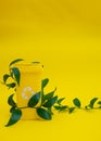 Yellow recycling bin with fresh green leaves
