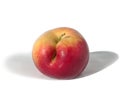 Yellow-red apple with a flaw Royalty Free Stock Photo