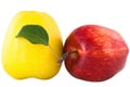Yellow and red apple with green leaf Royalty Free Stock Photo