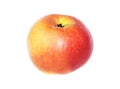 Yellow-red apple. Royalty Free Stock Photo