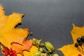 Yellow and red autumn leaves on a dark gray background. Autumn composition for design Royalty Free Stock Photo