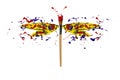 Yellow red blue paint splah made dragonfly