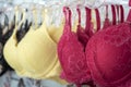 Yellow and red bra Royalty Free Stock Photo