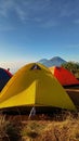 yellow and red camping tents in the Wonosobo boat mountainside area