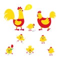 Yellow and red chicken with broken egg, nest, set of chicks and a rooster Royalty Free Stock Photo