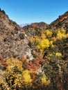 Yellow and red coloured autumn vegetation of stee slopes of a mountain gorge in New Zealand Royalty Free Stock Photo