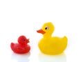 Yellow and red duck Royalty Free Stock Photo