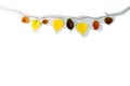 Yellow and red fall leaves on a string. Royalty Free Stock Photo