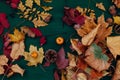 Yellow and red fallen autumn background leaves Royalty Free Stock Photo