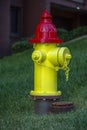 Yellow and red fire hydrant downtown residential Royalty Free Stock Photo