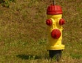 Yellow and red fire hydrant Royalty Free Stock Photo