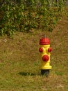 Yellow and red fire hydrant Royalty Free Stock Photo