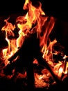 Yellow-red flames of a bonfire burning wood. Royalty Free Stock Photo