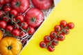 Yellow and red fresh tomatoes with green tails in shipping box.  One bunch of cherry isolated Royalty Free Stock Photo