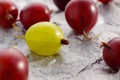 Yellow and red gooseberries Royalty Free Stock Photo