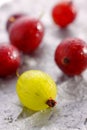 Yellow and red gooseberries Royalty Free Stock Photo