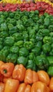 Yellow red green and orange fresh organic peppers Royalty Free Stock Photo